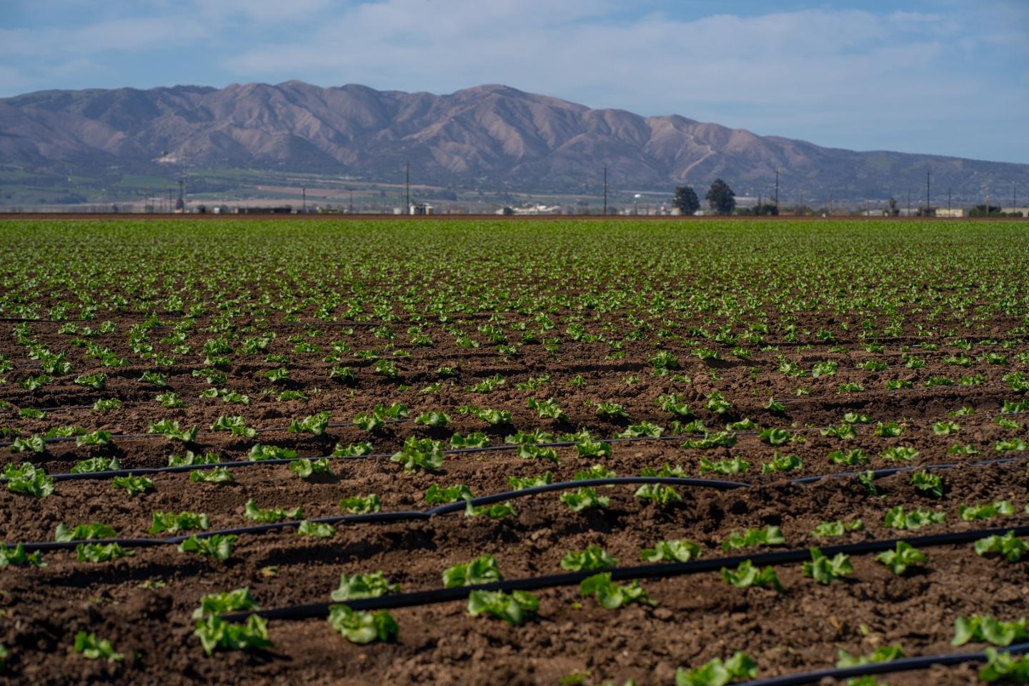 1559 Old Stage Road, SALINAS, California 93908, ,Comm Lots And Land,For Sale,Old Stage Road,40964387
