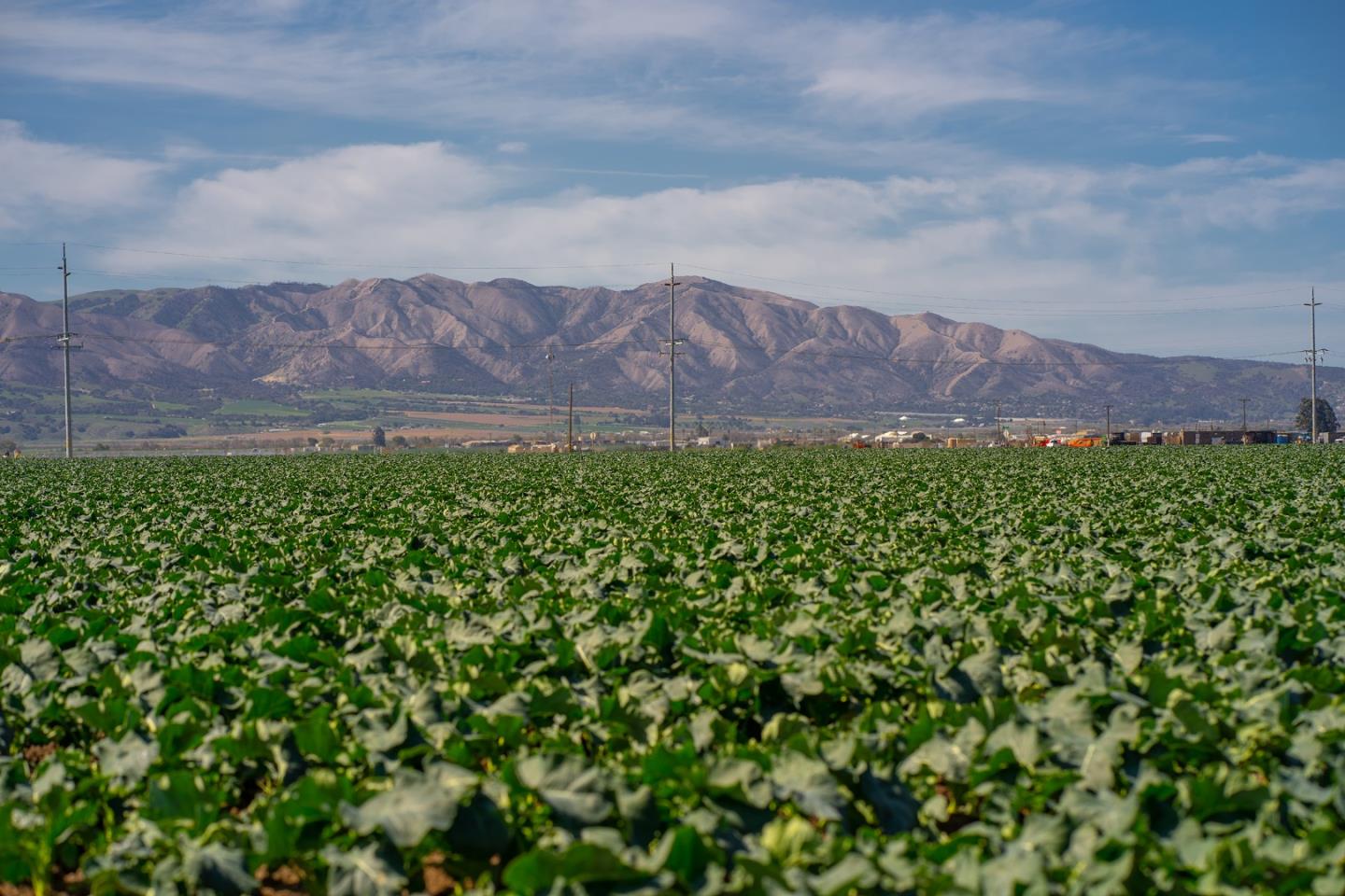 1559 Old Stage Road, SALINAS, California 93908, ,Comm Lots And Land,For Sale,Old Stage Road,40964387