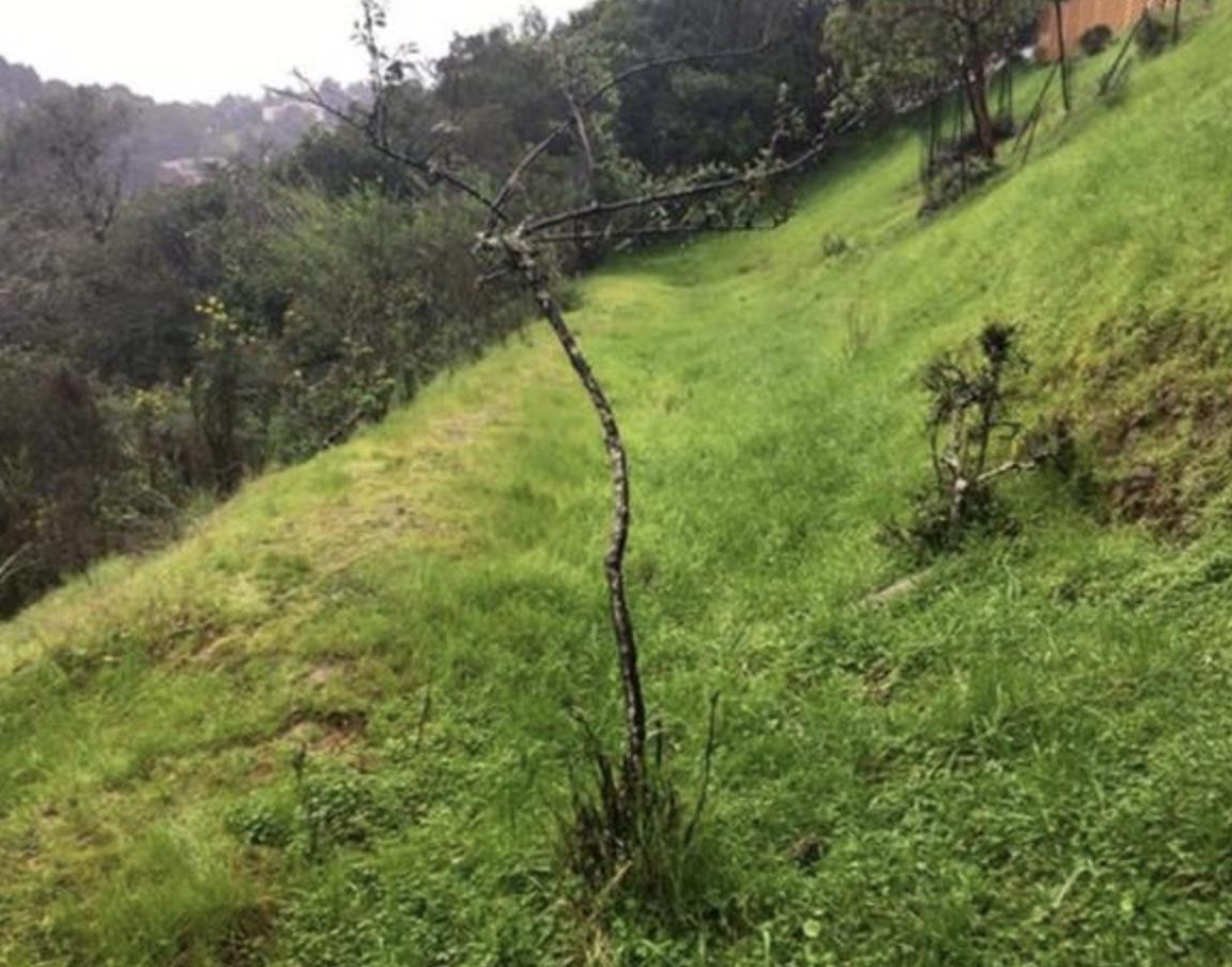 0 Gaslight lane, SAN CARLOS, California 94070, ,Lots And Land,For Sale,Gaslight lane,40964395