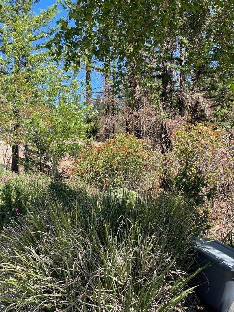 5755 Empire Grade, SANTA CRUZ, California 95060, ,Lots And Land,For Sale,Empire Grade,40964396