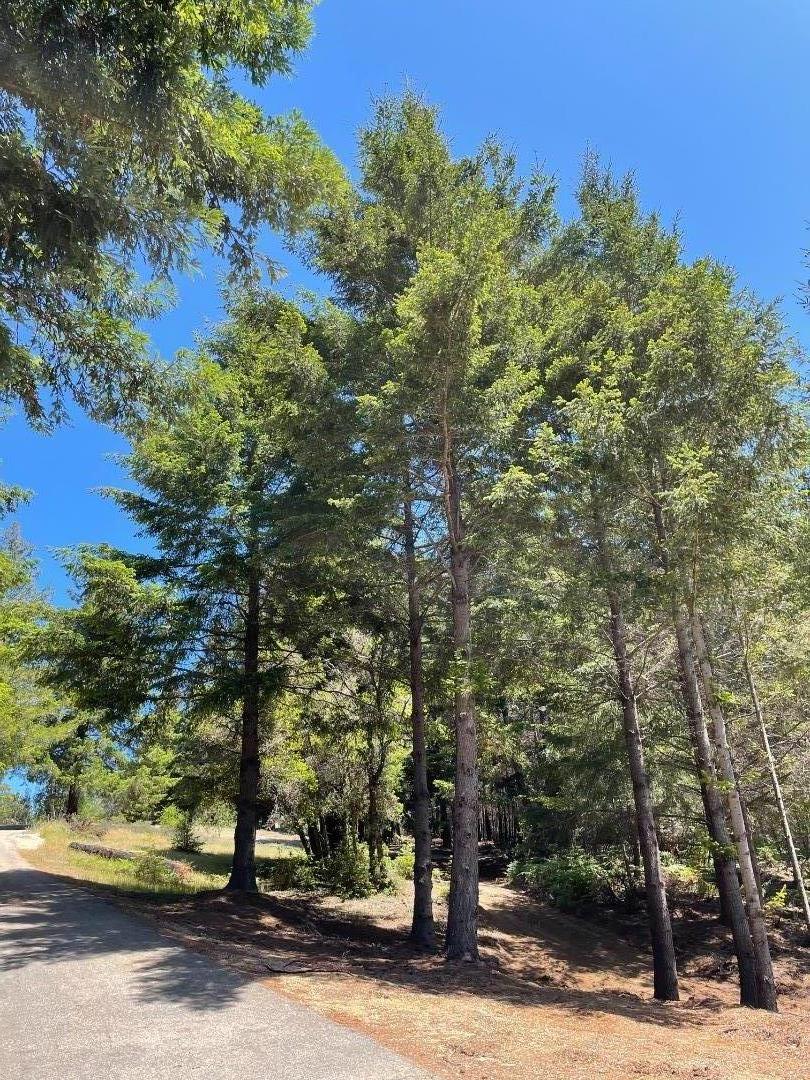 5755 Empire Grade, SANTA CRUZ, California 95060, ,Lots And Land,For Sale,Empire Grade,40964396
