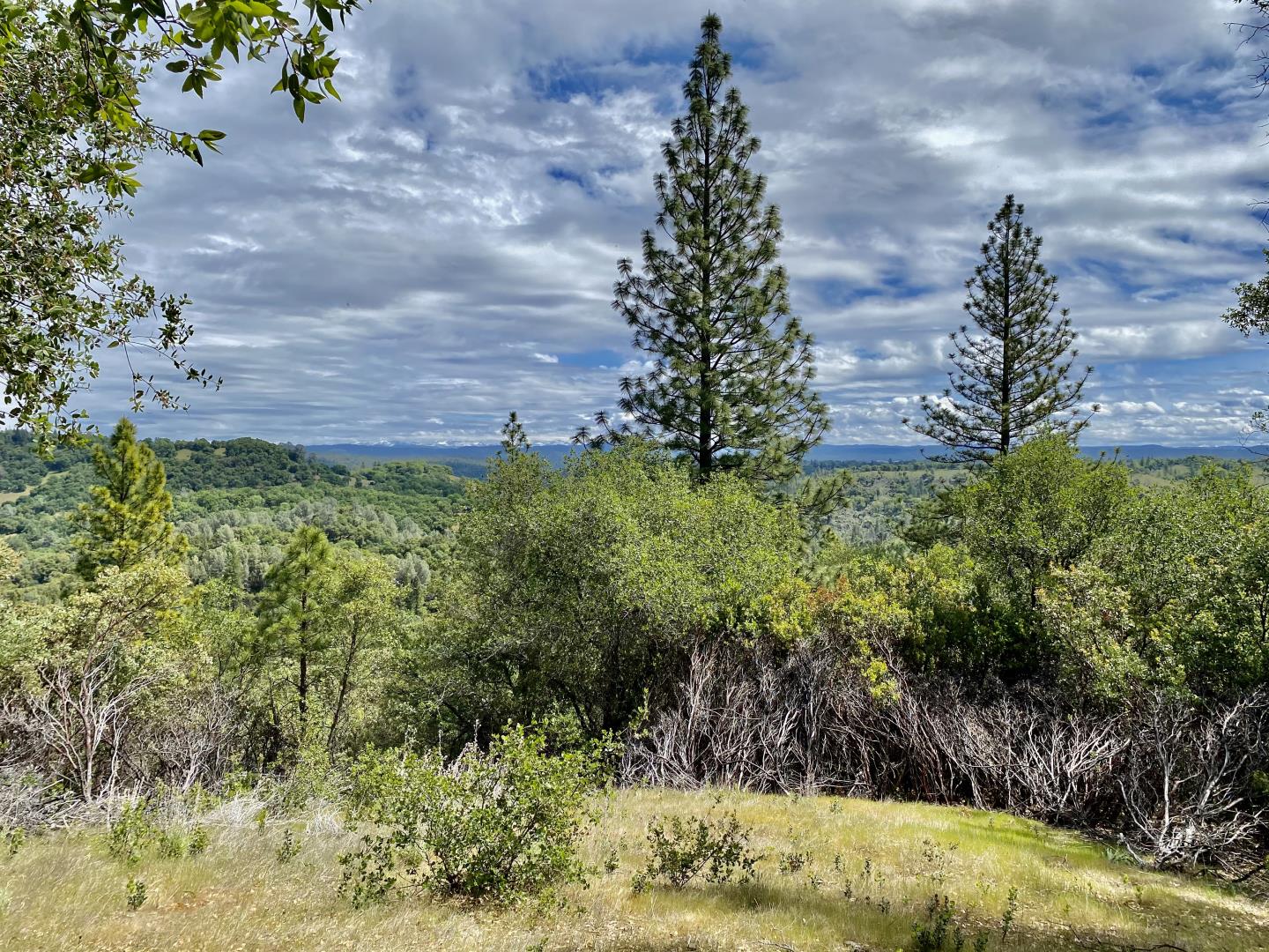 3985 Vintage Trail, EL DORADO, California 95623, ,Lots And Land,For Sale,Vintage Trail,40964398