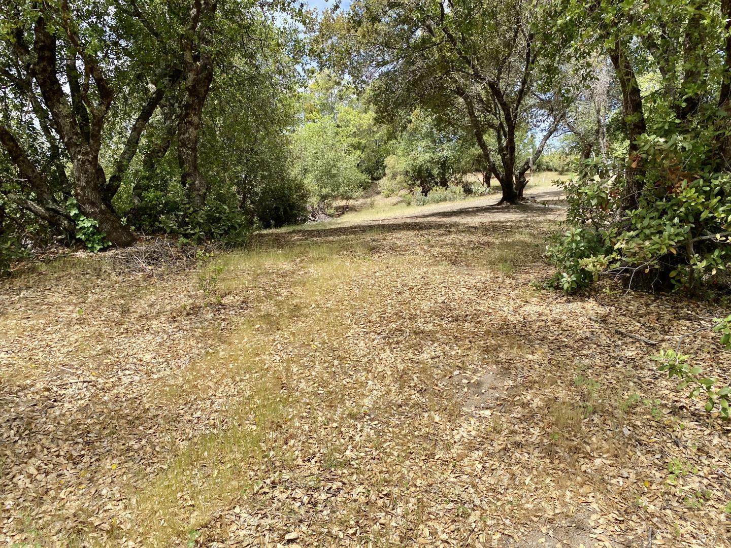 3985 Vintage Trail, EL DORADO, California 95623, ,Lots And Land,For Sale,Vintage Trail,40964398