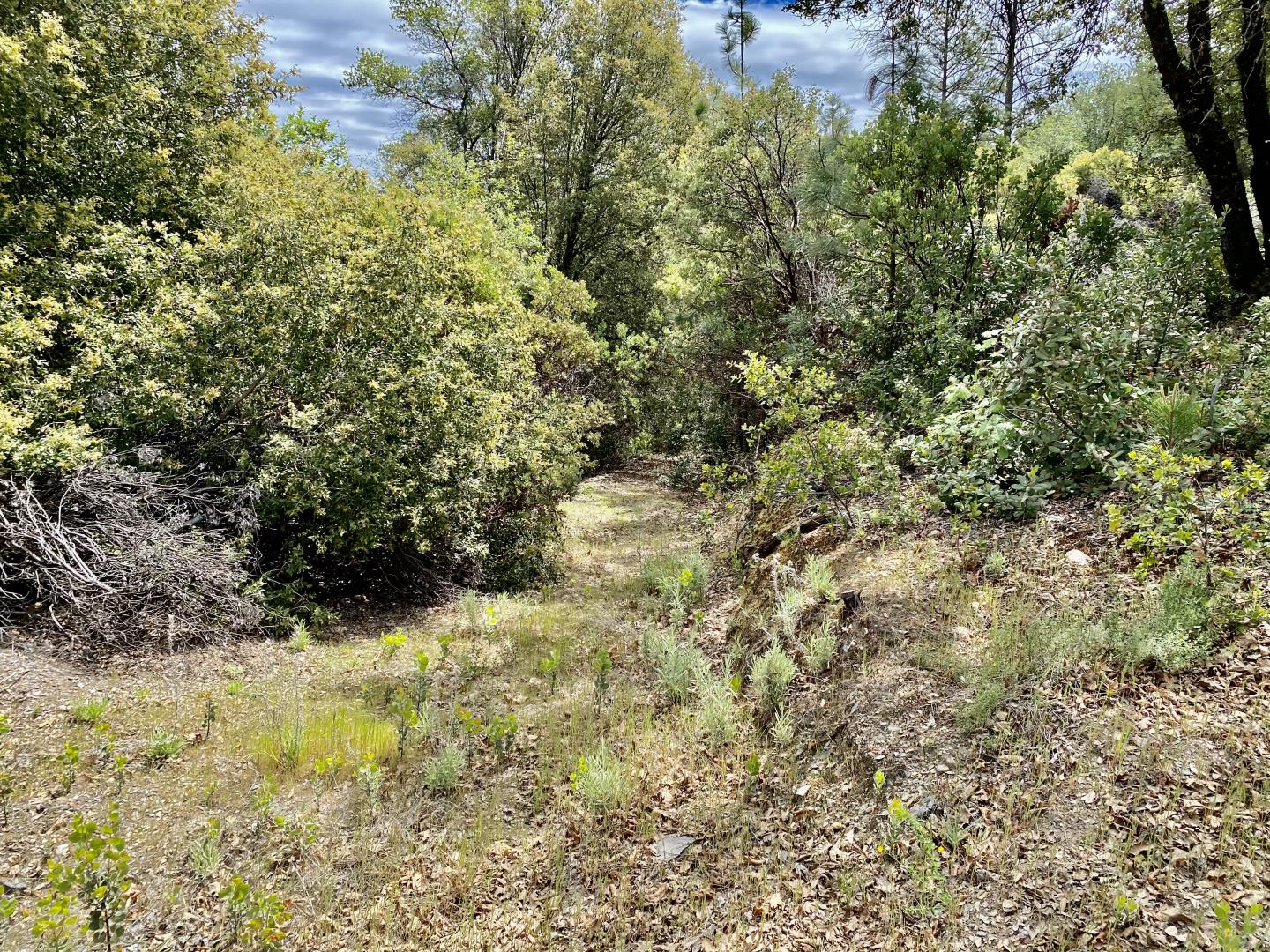3985 Vintage Trail, EL DORADO, California 95623, ,Lots And Land,For Sale,Vintage Trail,40964398