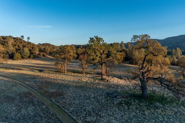 00 Hernandez, PAICINES, California 95043, ,Lots And Land,For Sale,Hernandez,40964409