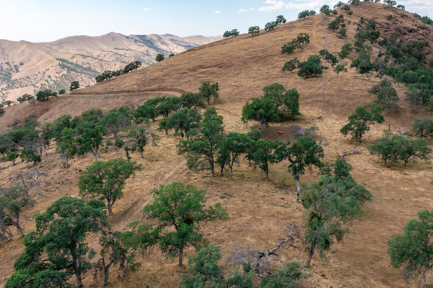 00 E Trimmer Road, SANGER, California 93657, ,Comm Lots And Land,For Sale,E Trimmer Road,40964412