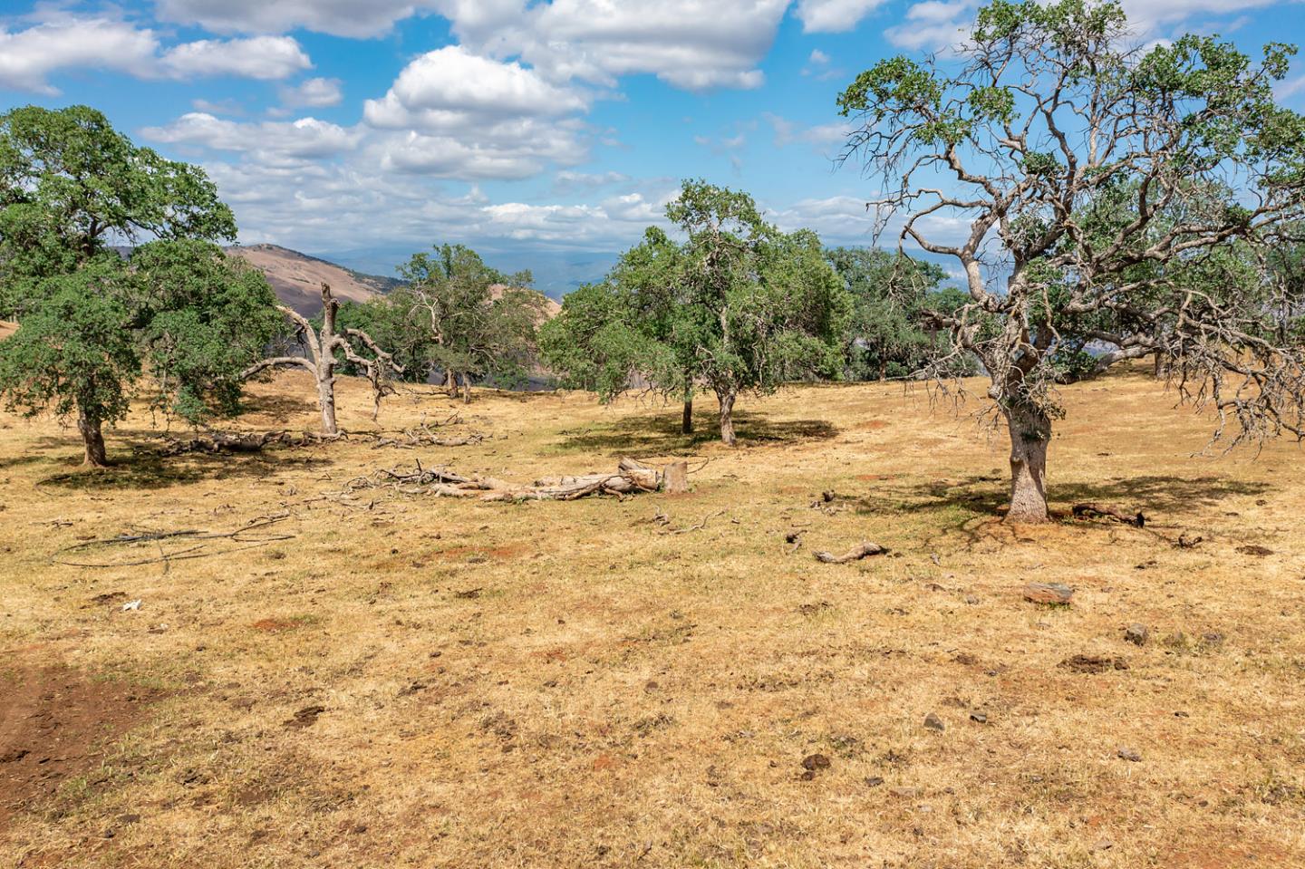 00 E Trimmer Road, SANGER, California 93657, ,Comm Lots And Land,For Sale,E Trimmer Road,40964412