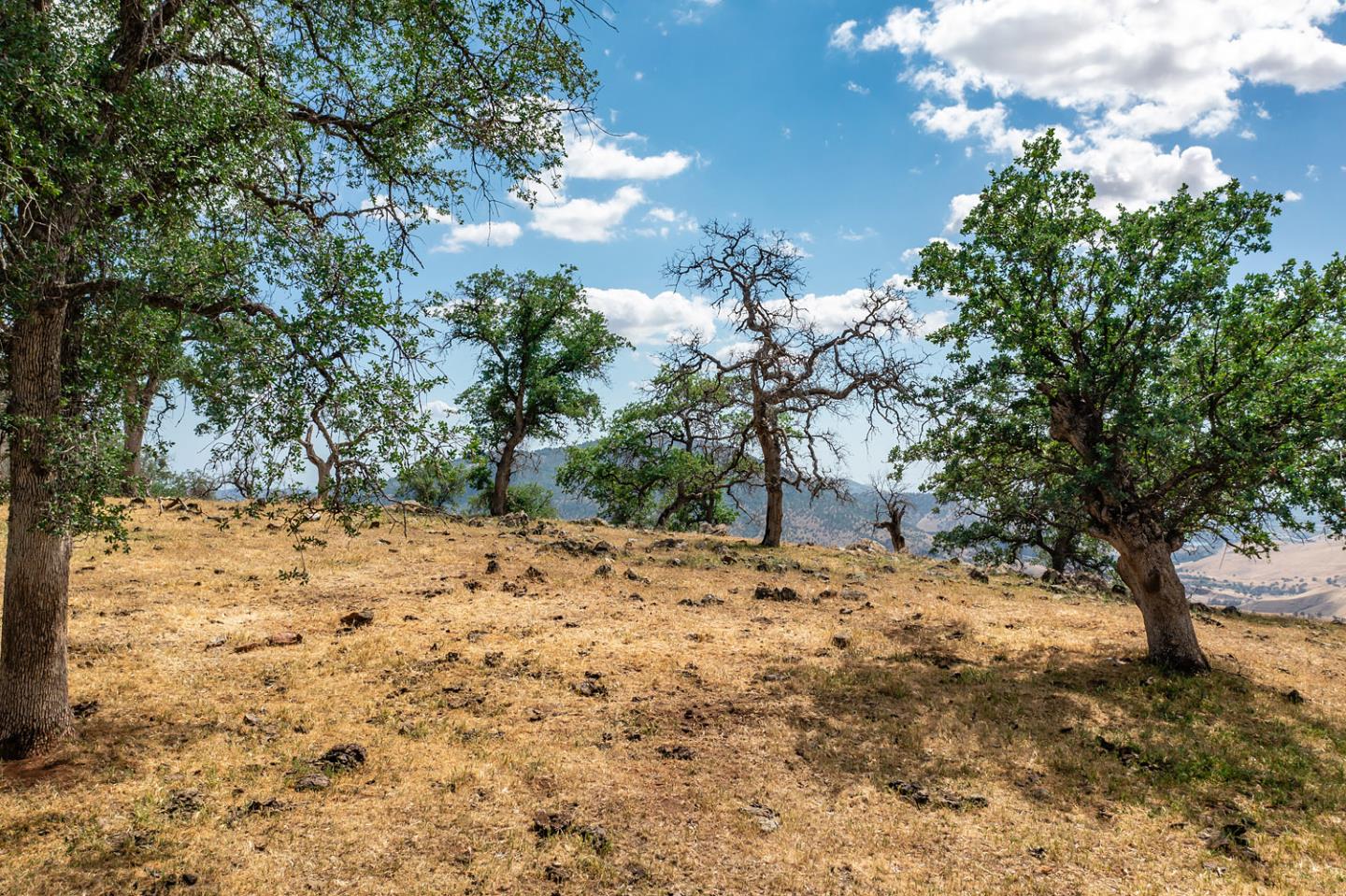 00 E Trimmer Road, SANGER, California 93657, ,Comm Lots And Land,For Sale,E Trimmer Road,40964412