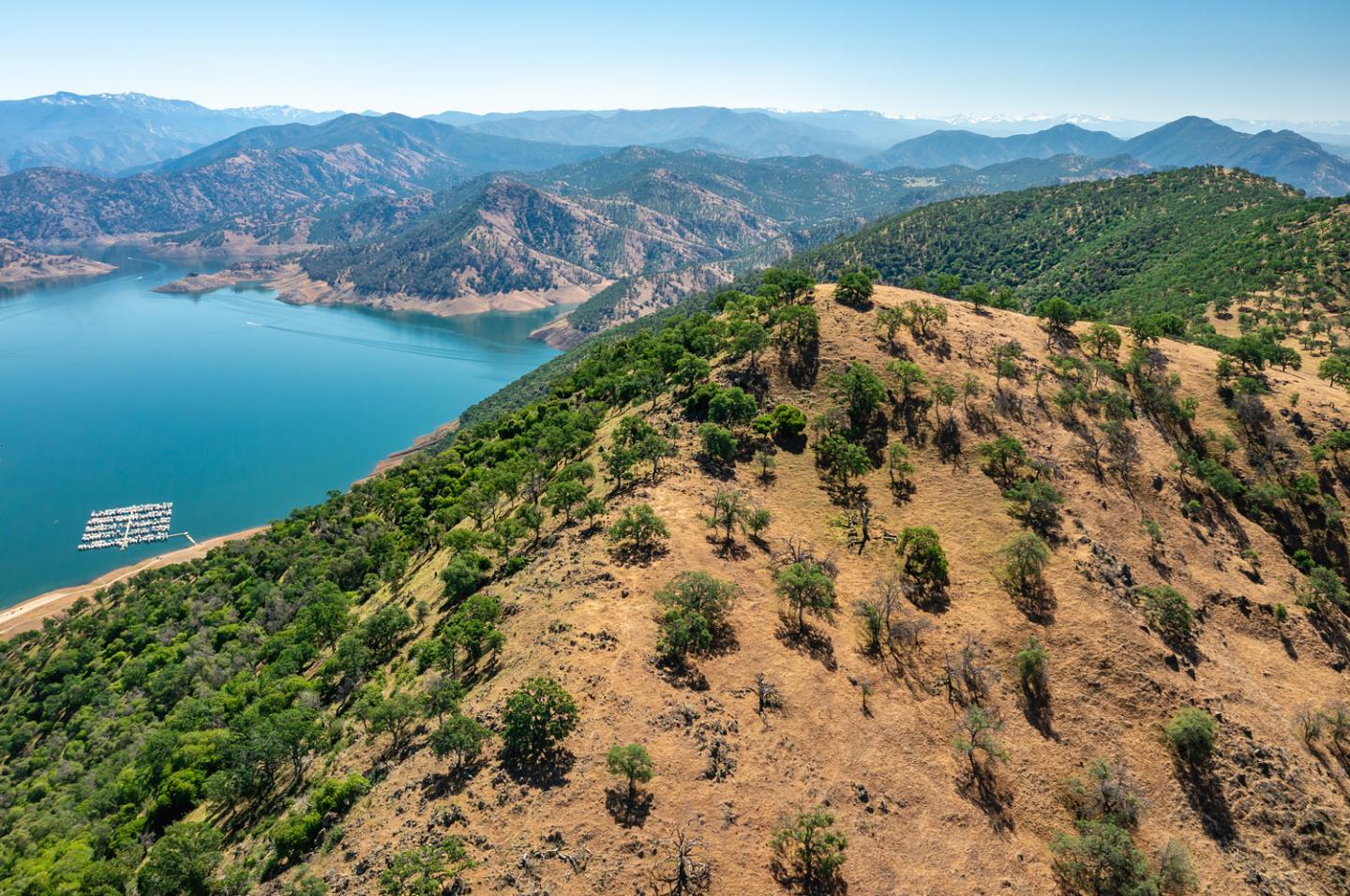 00 E Trimmer Road, SANGER, California 93657, ,Comm Lots And Land,For Sale,E Trimmer Road,40964412