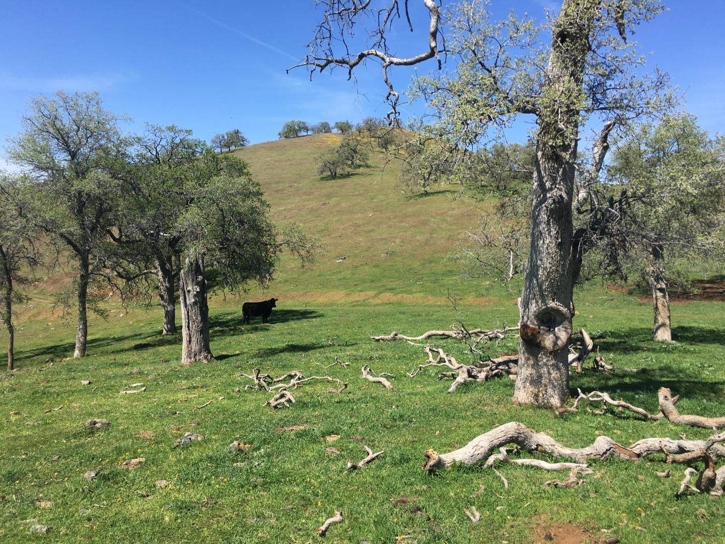 00 E Trimmer Road, SANGER, California 93657, ,Comm Lots And Land,For Sale,E Trimmer Road,40964412