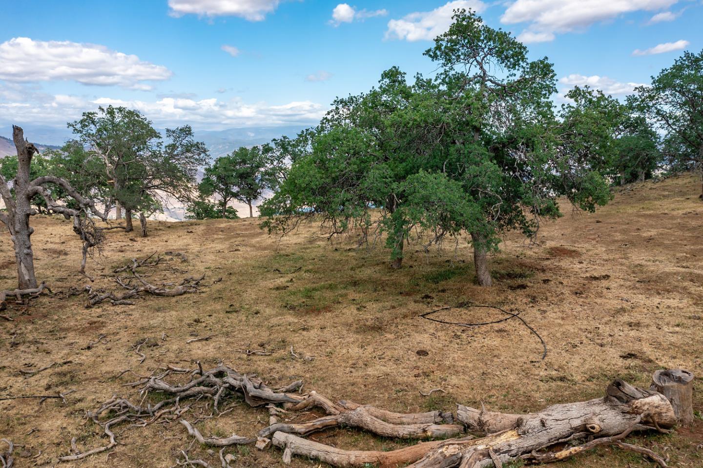 00 E Trimmer Road, SANGER, California 93657, ,Comm Lots And Land,For Sale,E Trimmer Road,40964412