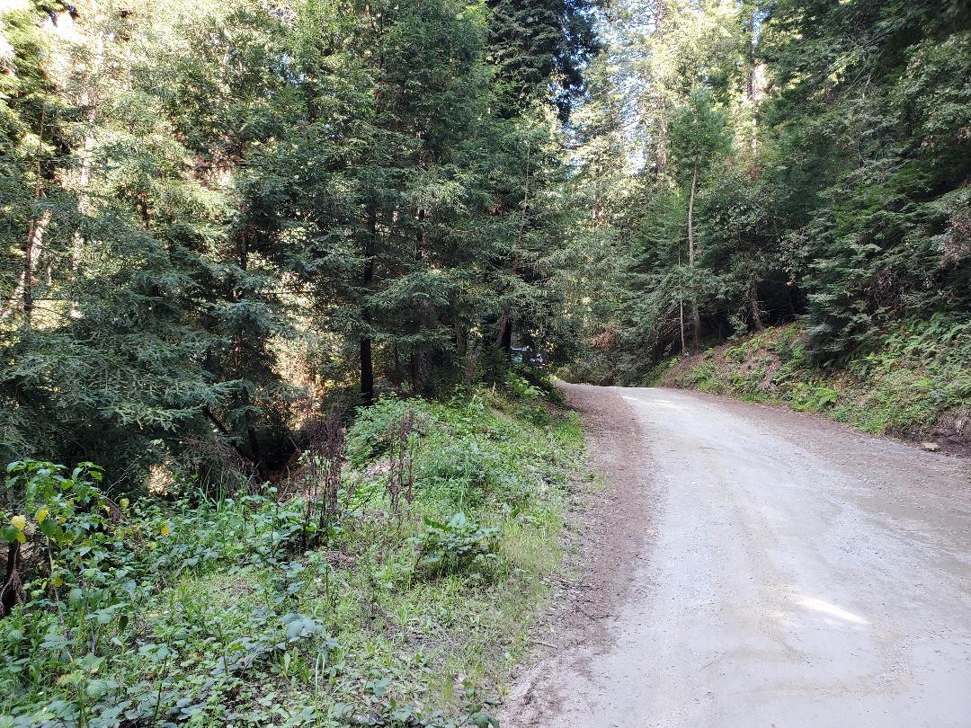 00 Garrapata Canyon, BIG SUR, California 93920, ,Lots And Land,For Sale,Garrapata Canyon,40964422