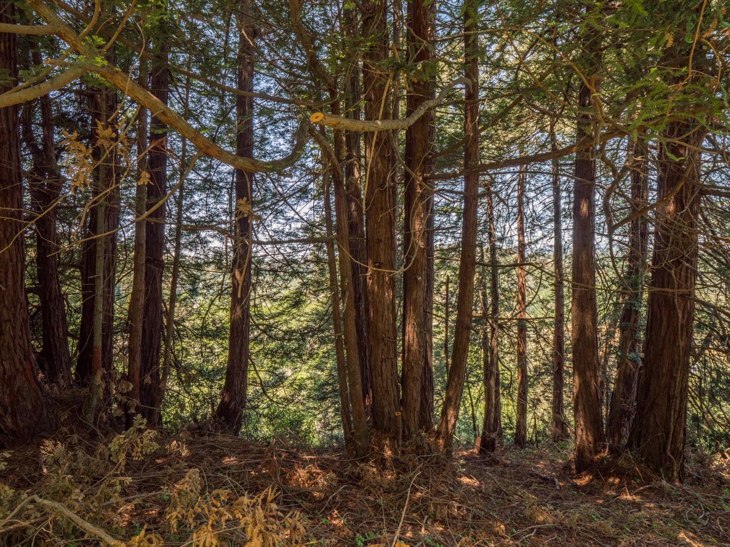 887 Larkin Valley Road, WATSONVILLE, California 95076, ,Lots And Land,For Sale,Larkin Valley Road,40964425