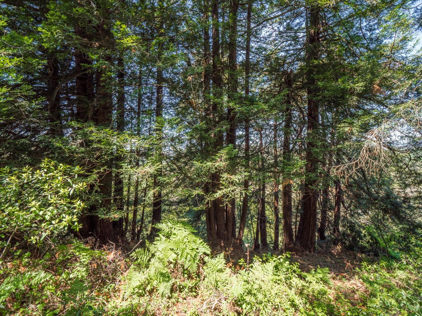 887 Larkin Valley Road, WATSONVILLE, California 95076, ,Lots And Land,For Sale,Larkin Valley Road,40964425