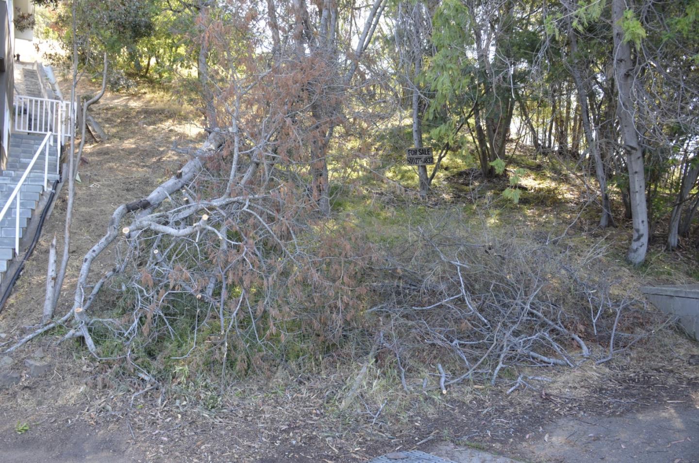 0 View Drive, OAKLAND, California 94603, ,Lots And Land,For Sale,View Drive,40964442