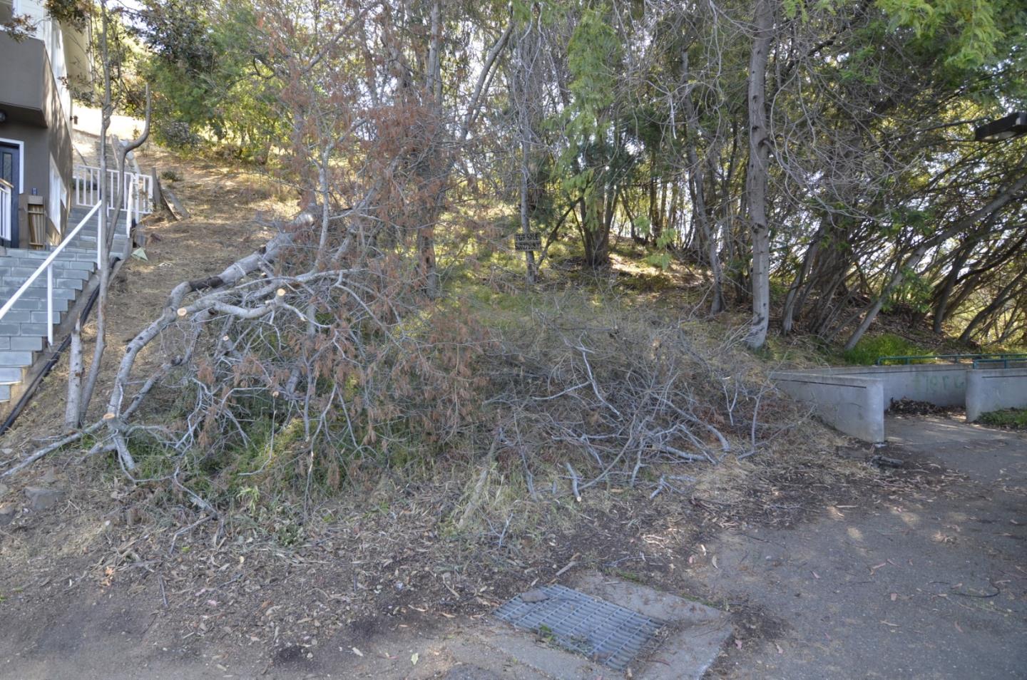 0 View Drive, OAKLAND, California 94603, ,Lots And Land,For Sale,View Drive,40964442