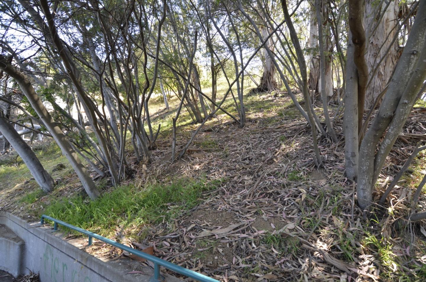 0 View Drive, OAKLAND, California 94603, ,Lots And Land,For Sale,View Drive,40964442
