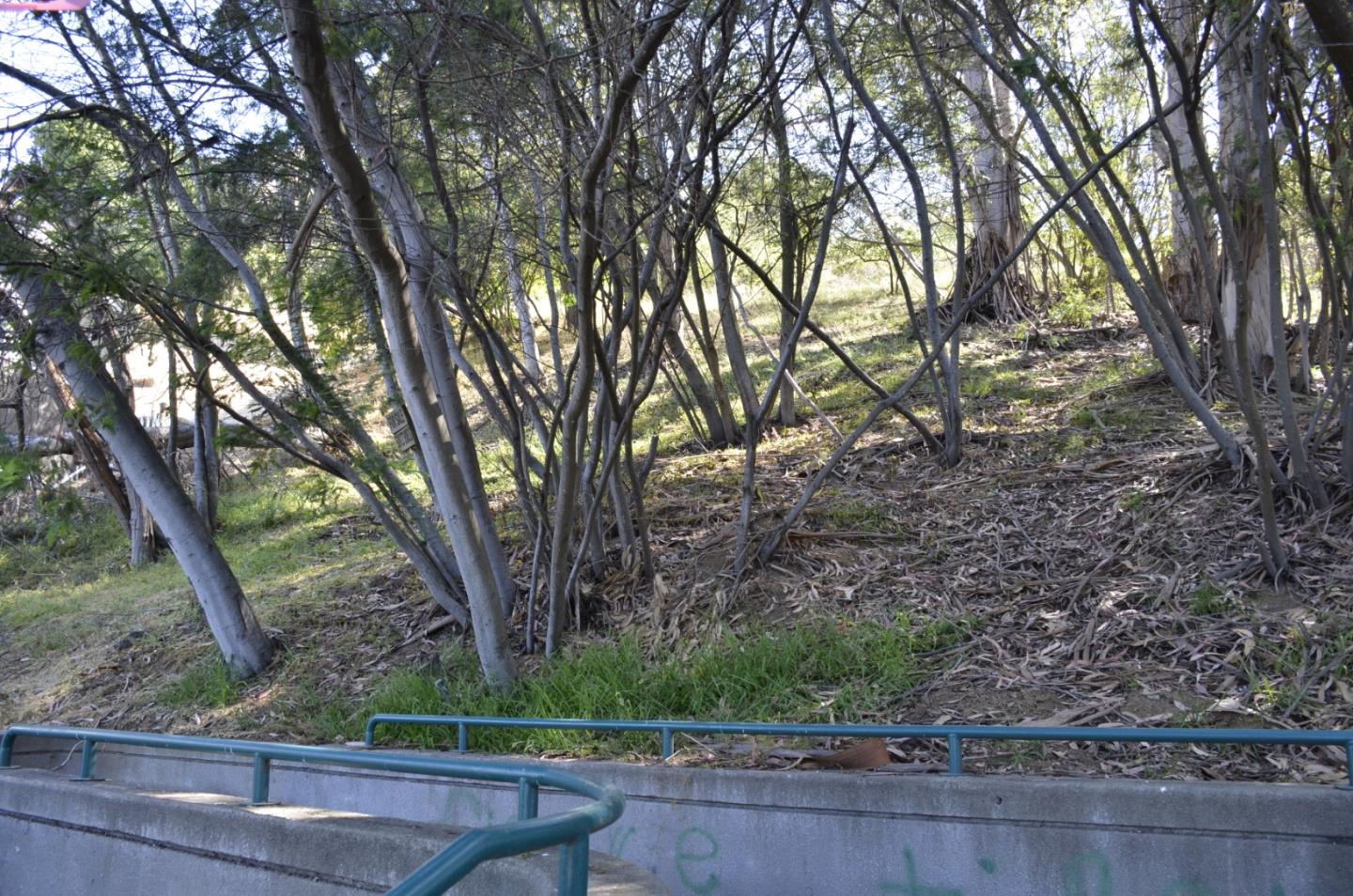 0 View Drive, OAKLAND, California 94603, ,Lots And Land,For Sale,View Drive,40964442