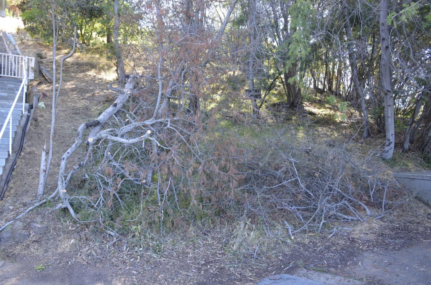 0 View Drive, OAKLAND, California 94603, ,Lots And Land,For Sale,View Drive,40964442