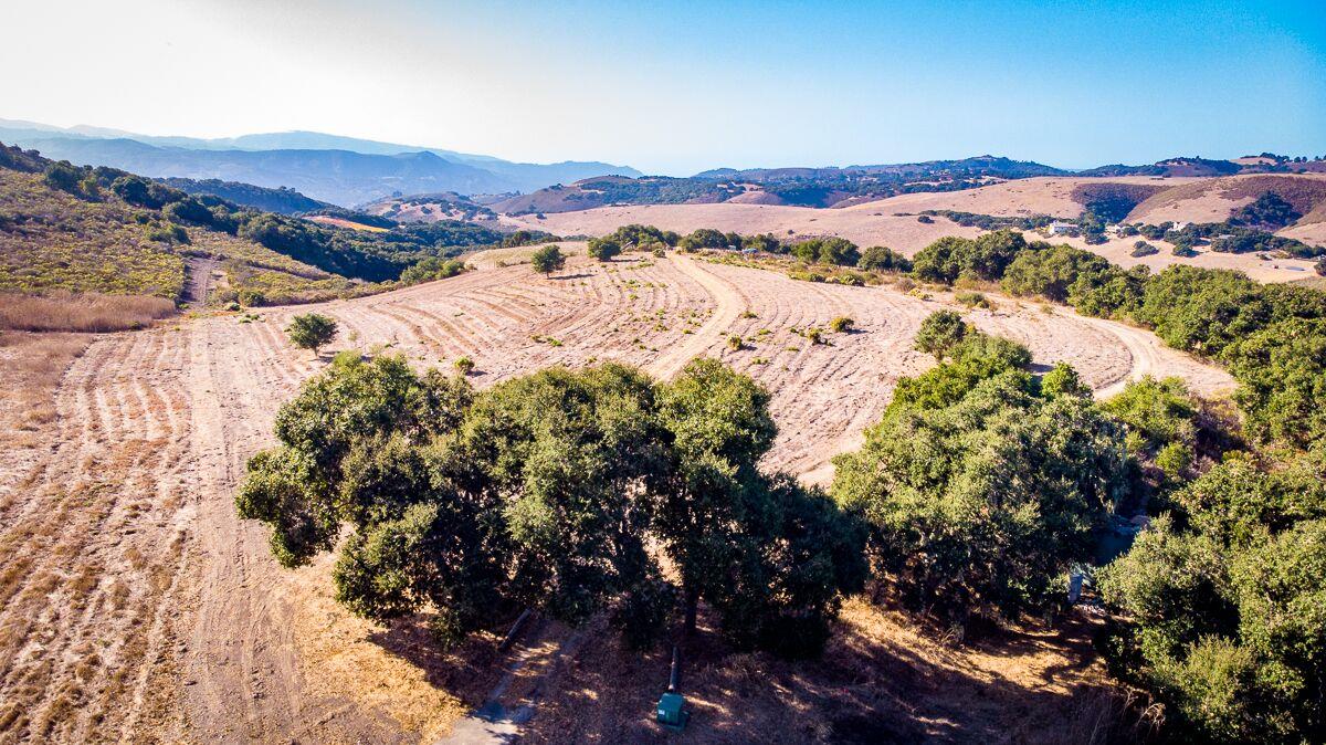 11760 Camino Escondido Road, CARMEL VALLEY, California 93924, ,Lots And Land,For Sale,Camino Escondido Road,40964463