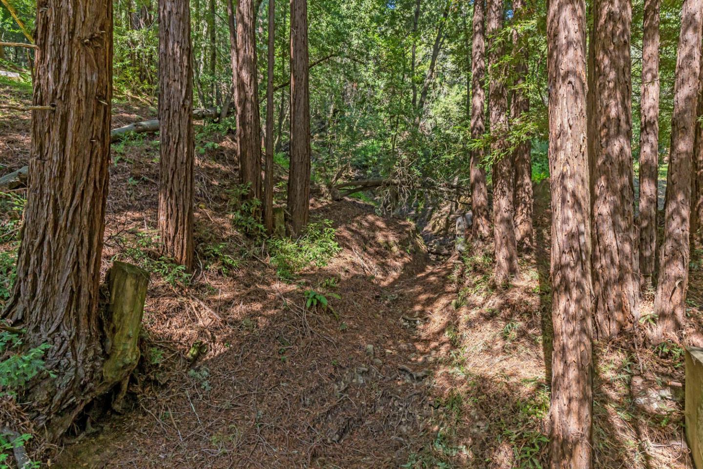3600 Partition Road, WOODSIDE, California 94062, ,Lots And Land,For Sale,Partition Road,40972725