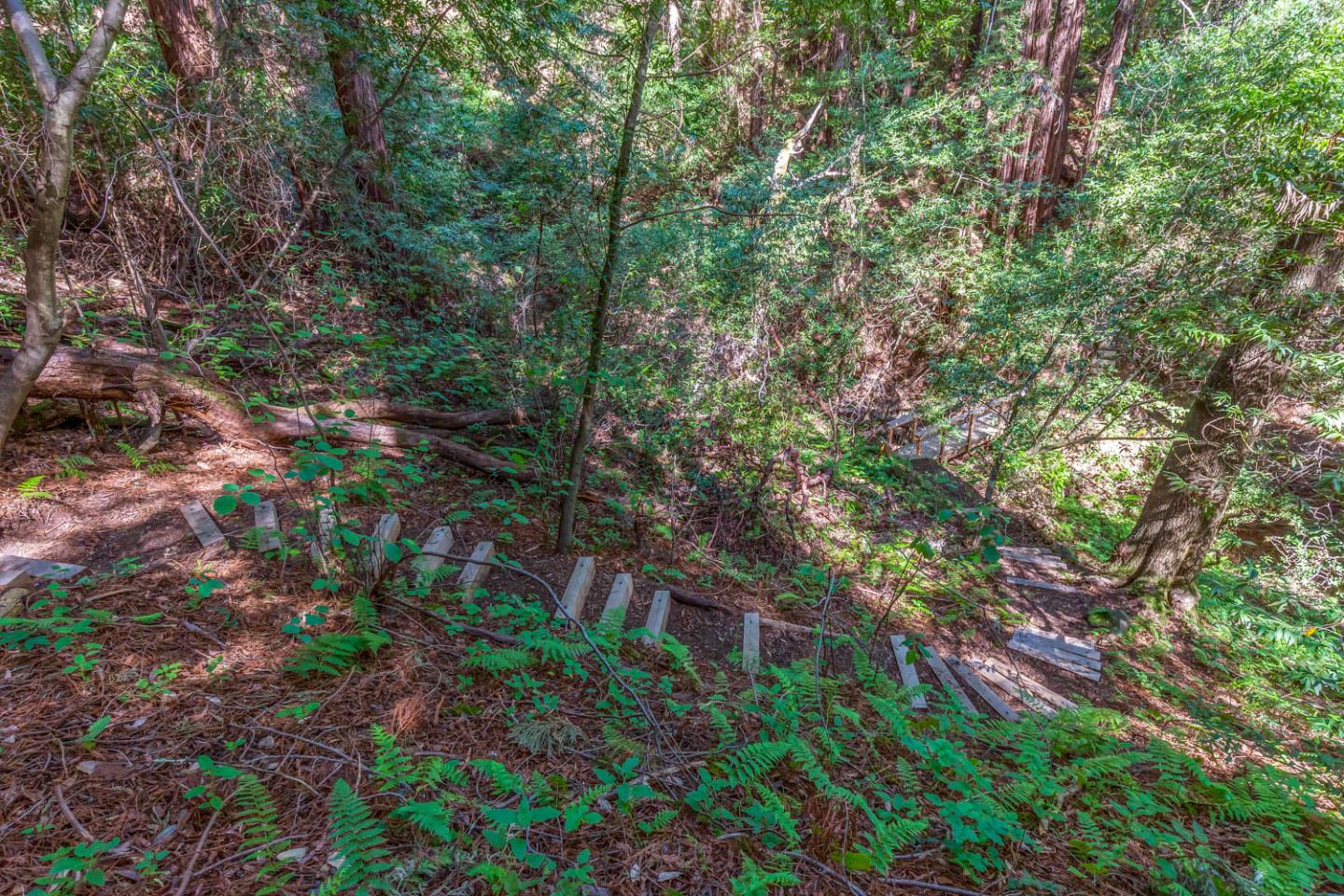 3600 Partition Road, WOODSIDE, California 94062, ,Lots And Land,For Sale,Partition Road,40972725