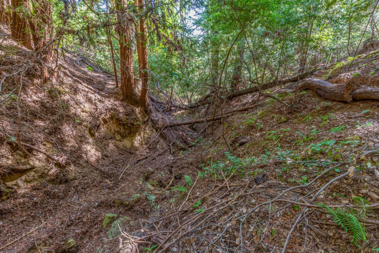 3600 Partition Road, WOODSIDE, California 94062, ,Lots And Land,For Sale,Partition Road,40972725