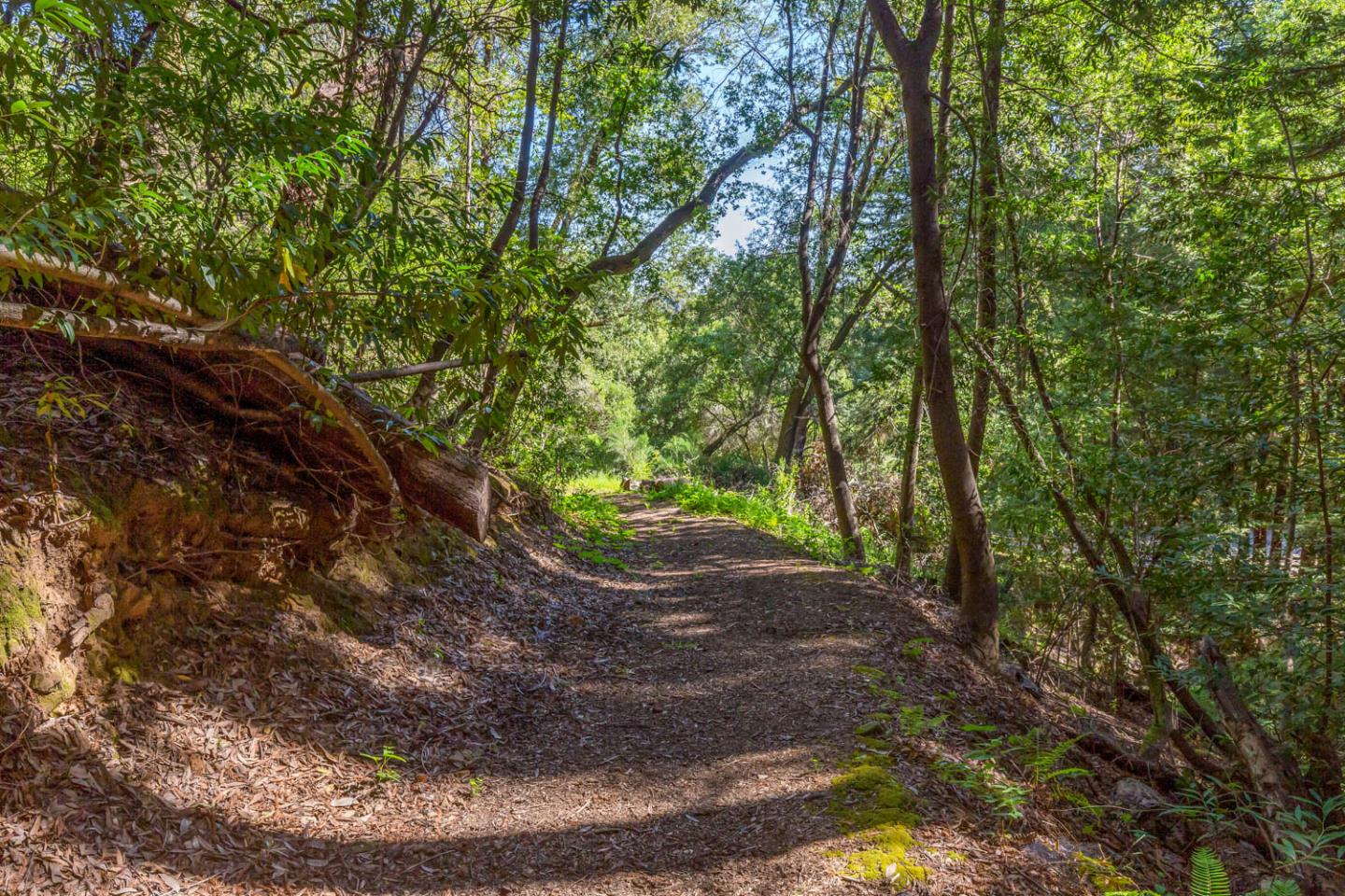 3600 Partition Road, WOODSIDE, California 94062, ,Lots And Land,For Sale,Partition Road,40972725