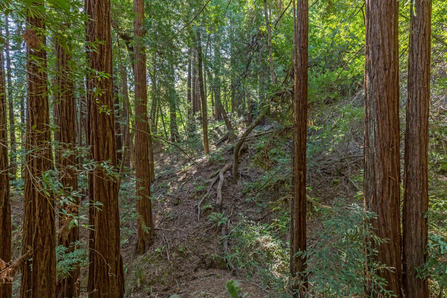 3600 Partition Road, WOODSIDE, California 94062, ,Lots And Land,For Sale,Partition Road,40972725
