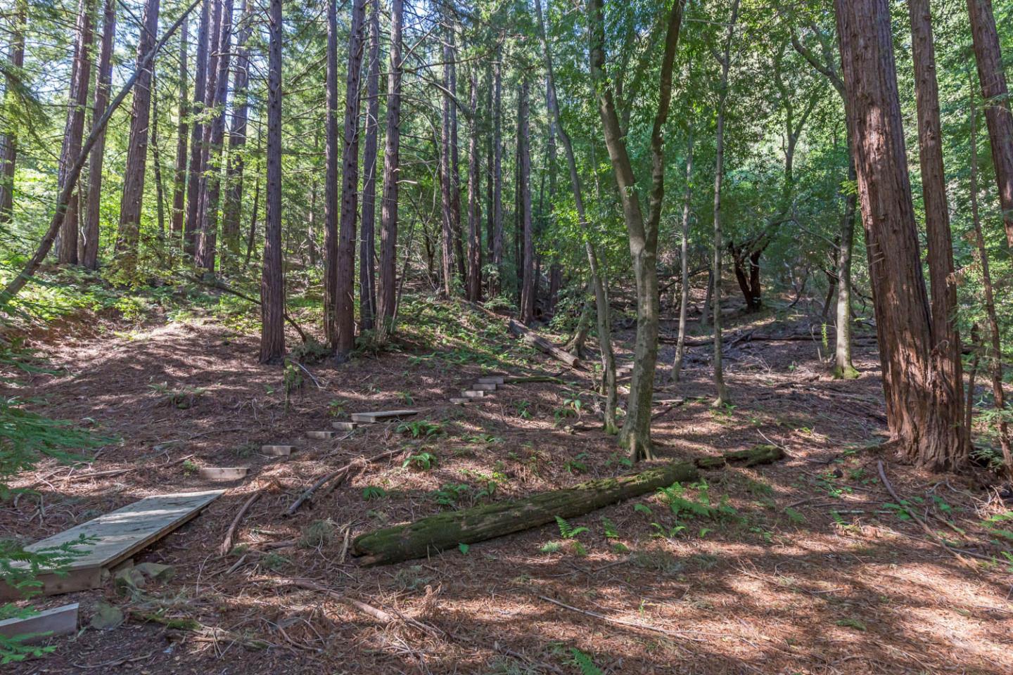 3600 Partition Road, WOODSIDE, California 94062, ,Lots And Land,For Sale,Partition Road,40972725