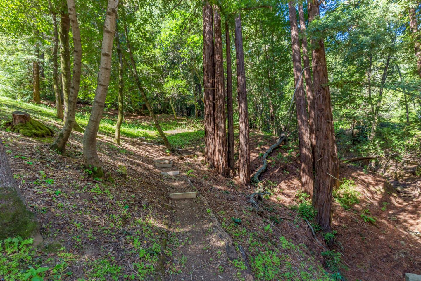 3600 Partition Road, WOODSIDE, California 94062, ,Lots And Land,For Sale,Partition Road,40972725