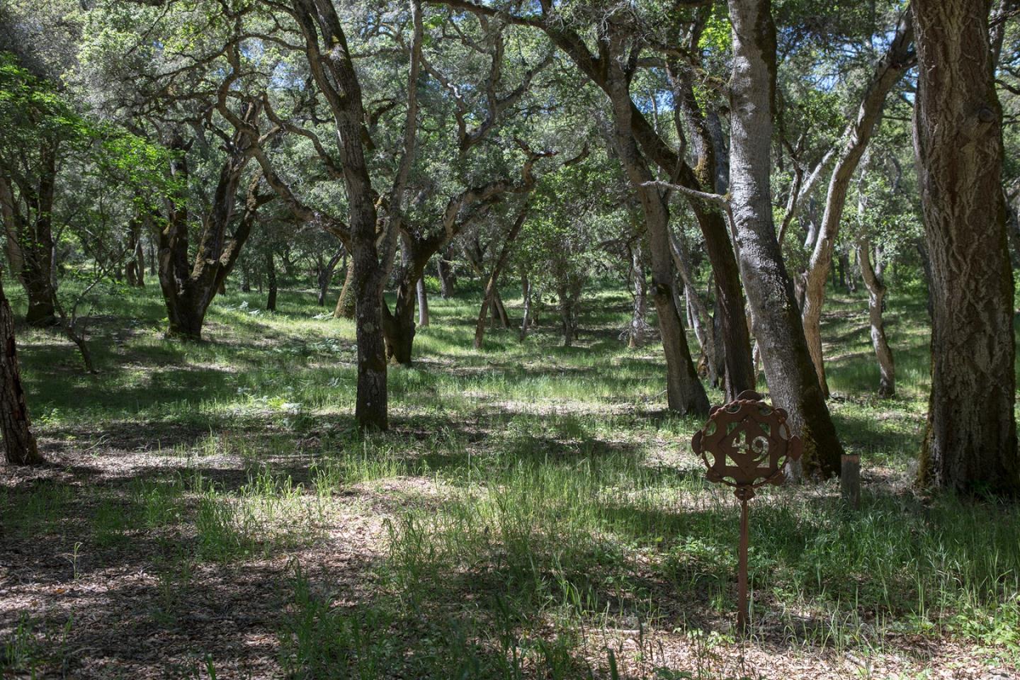 9 Garzas Trail, CARMEL, California 93923, ,Lots And Land,For Sale,Garzas Trail,40964466