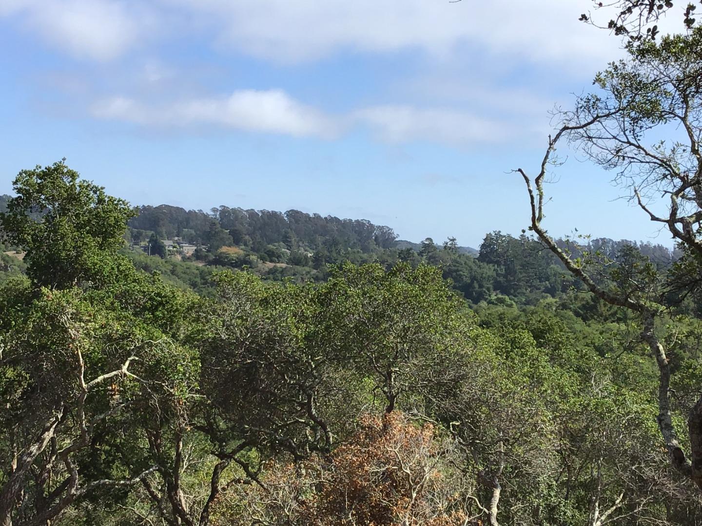 0 Byers Lane, LA SELVA BEACH, California 95076, ,Lots And Land,For Sale,Byers Lane,40964486
