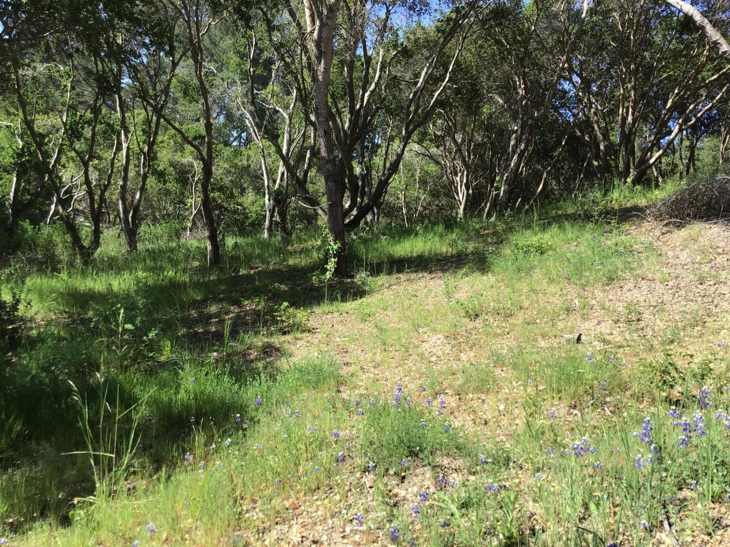 0 Byers Lane, LA SELVA BEACH, California 95076, ,Lots And Land,For Sale,Byers Lane,40964486