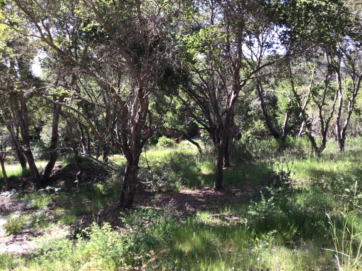 0 Byers Lane, LA SELVA BEACH, California 95076, ,Lots And Land,For Sale,Byers Lane,40964486