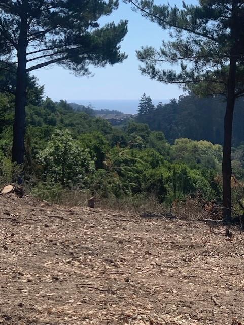 0 Byers Lane, LA SELVA BEACH, California 95076, ,Lots And Land,For Sale,Byers Lane,40964486