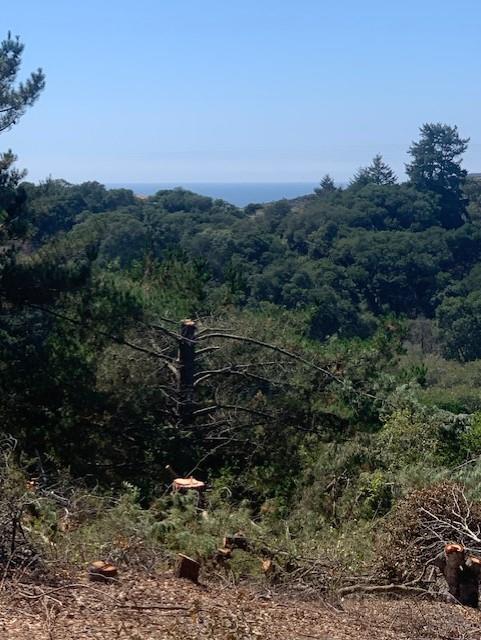 0 Byers Lane, LA SELVA BEACH, California 95076, ,Lots And Land,For Sale,Byers Lane,40964486