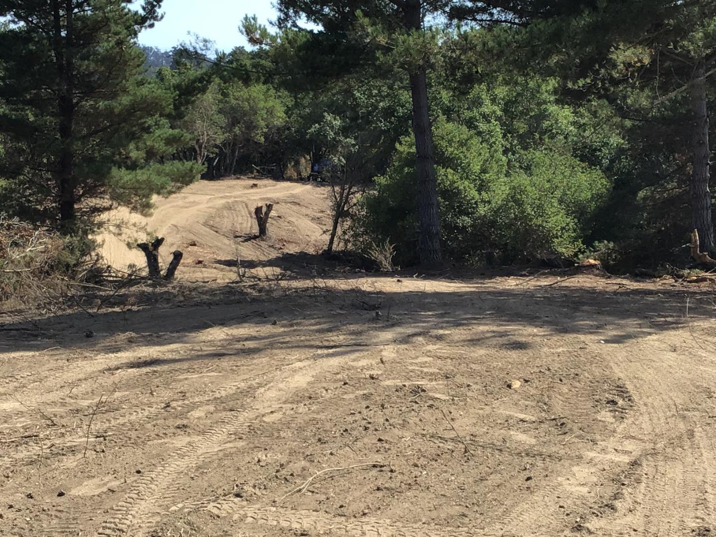 0 Byers Lane, LA SELVA BEACH, California 95076, ,Lots And Land,For Sale,Byers Lane,40964486