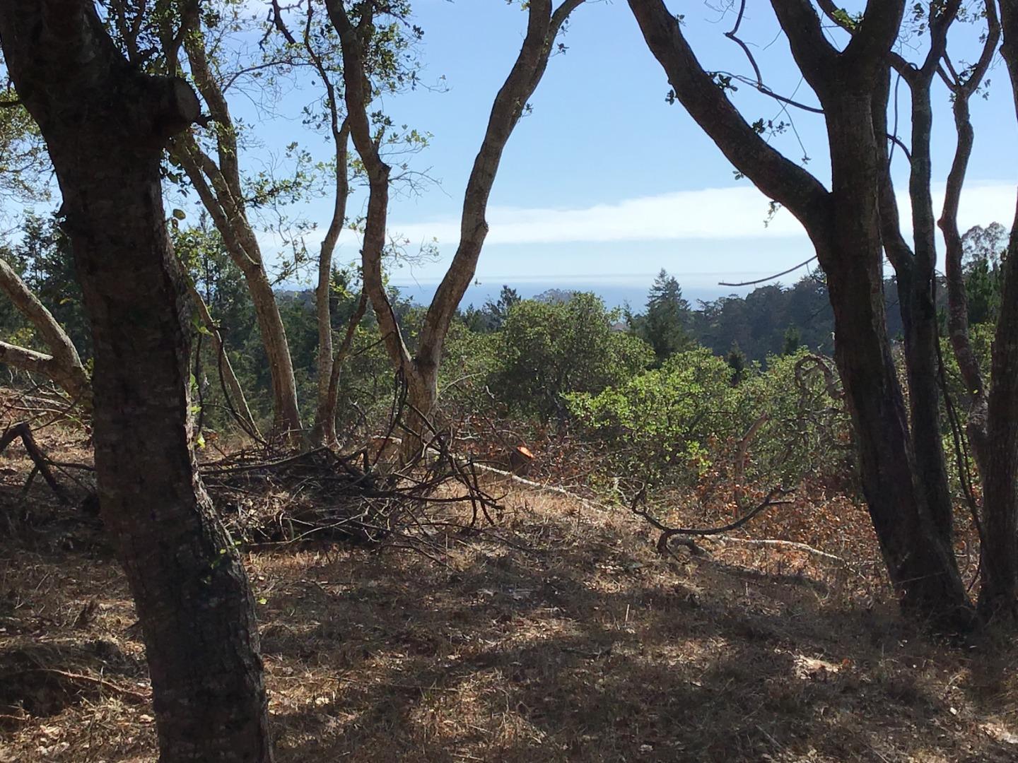 0 Byers Lane, LA SELVA BEACH, California 95076, ,Lots And Land,For Sale,Byers Lane,40964486