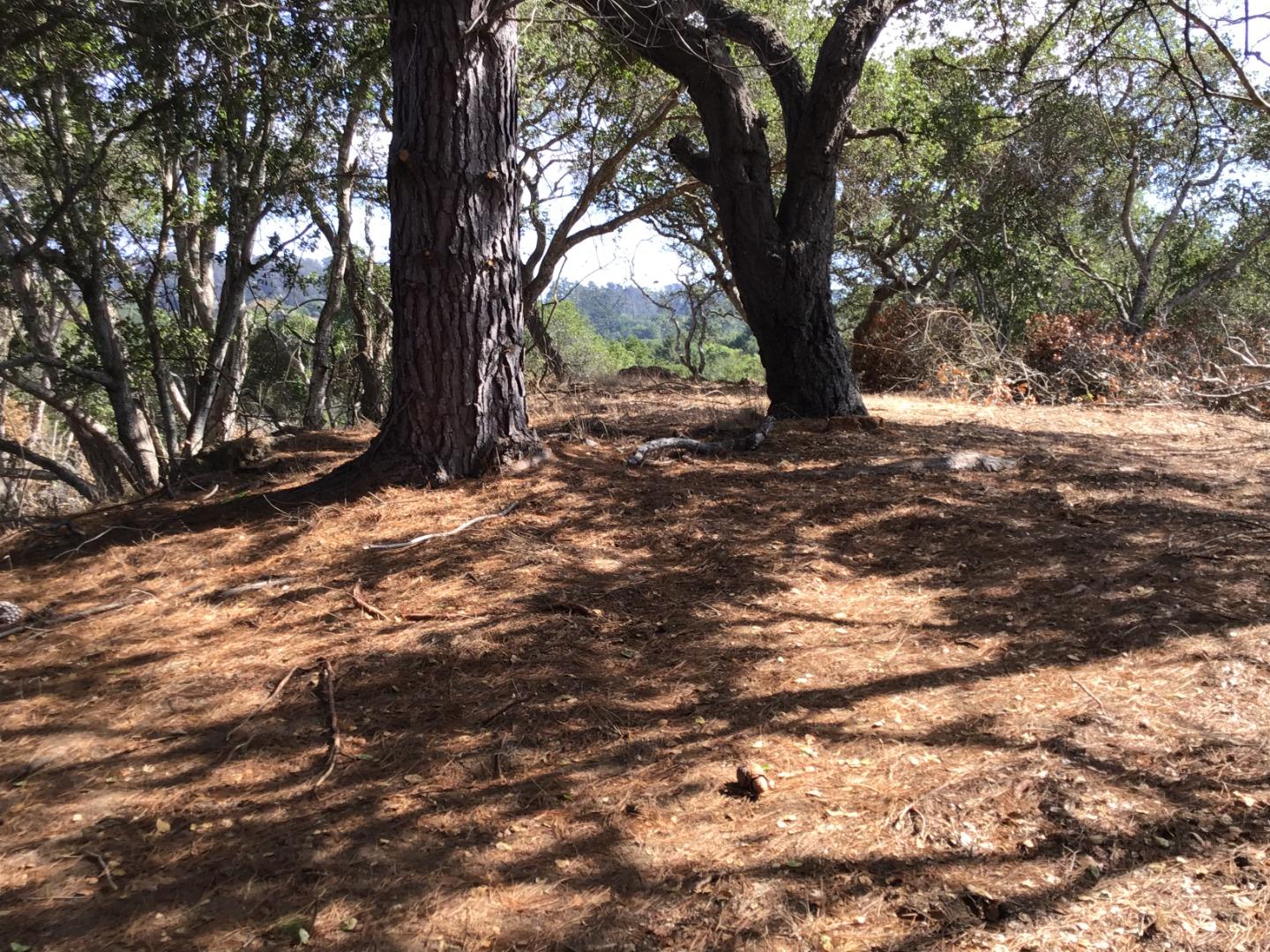 0 Byers Lane, LA SELVA BEACH, California 95076, ,Lots And Land,For Sale,Byers Lane,40964486