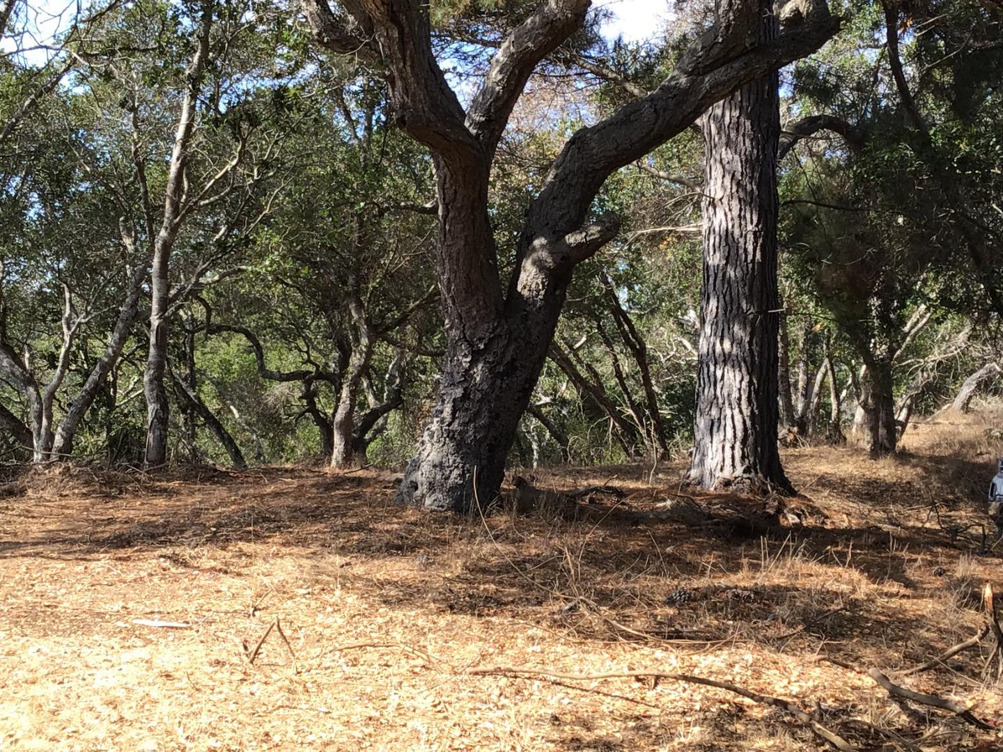 0 Byers Lane, LA SELVA BEACH, California 95076, ,Lots And Land,For Sale,Byers Lane,40964486