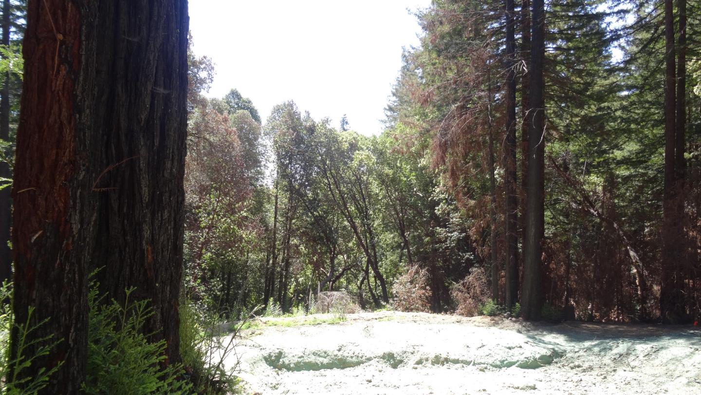 475 Stellar Way, BOULDER CREEK, California 95006, ,Lots And Land,For Sale,Stellar Way,40964487