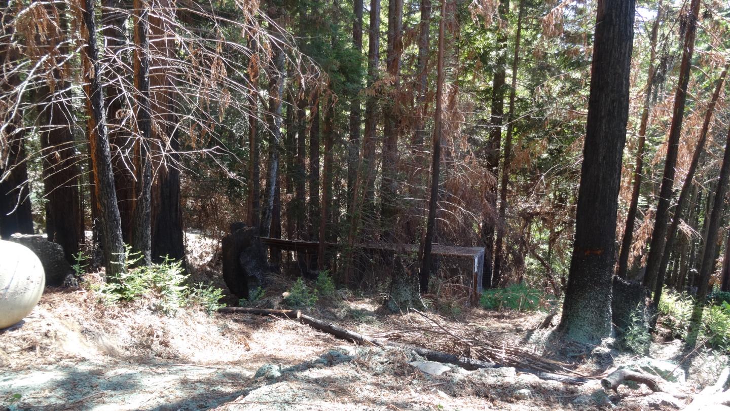 475 Stellar Way, BOULDER CREEK, California 95006, ,Lots And Land,For Sale,Stellar Way,40964487