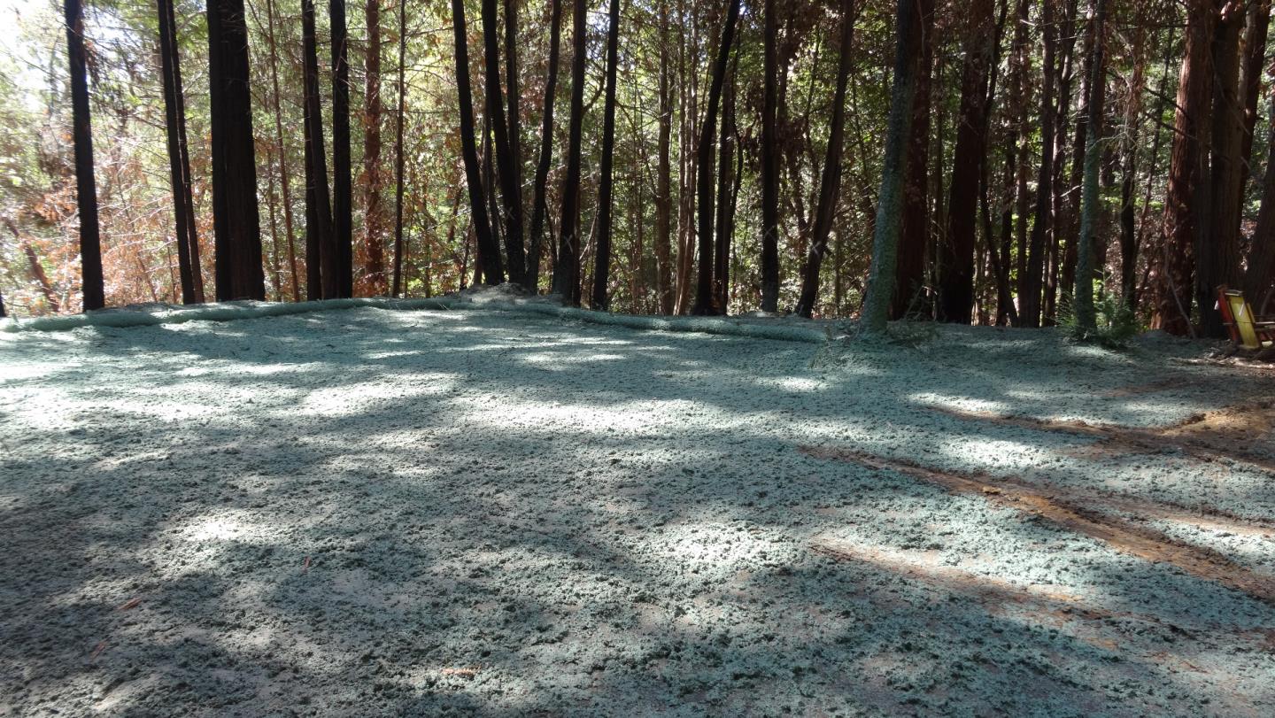 475 Stellar Way, BOULDER CREEK, California 95006, ,Lots And Land,For Sale,Stellar Way,40964487
