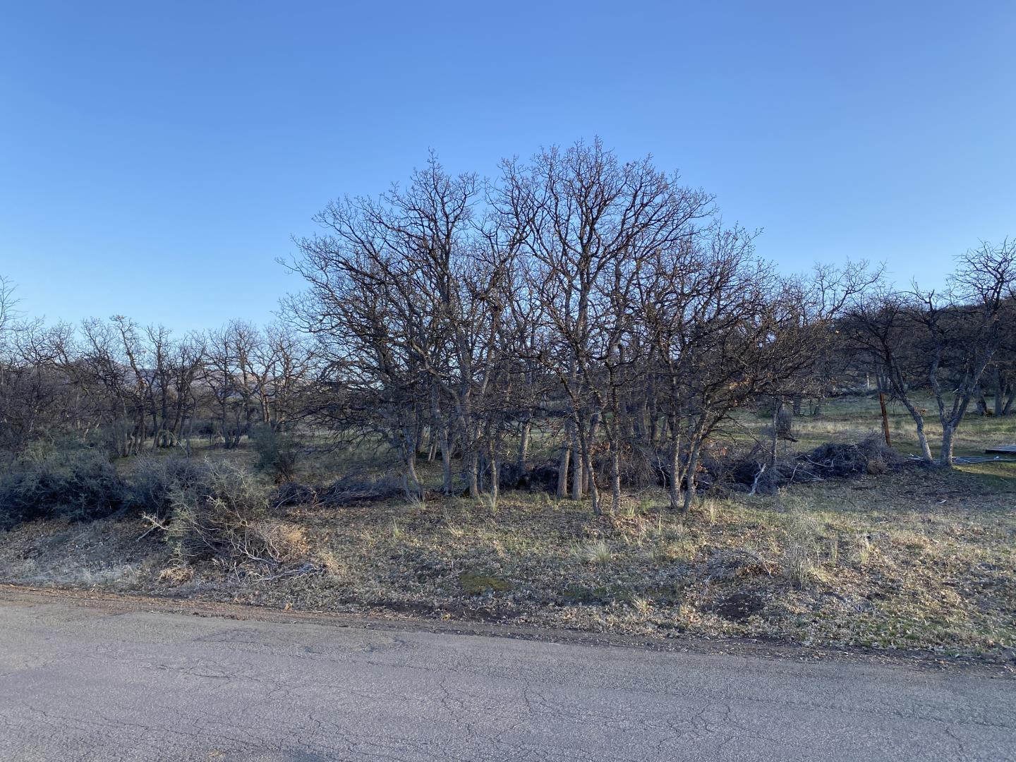 LOT 293 Unit 4 Lot 293, OTHER - SEE REMARKS, California 96064, ,Lots And Land,For Sale,Unit 4 Lot 293,40964492