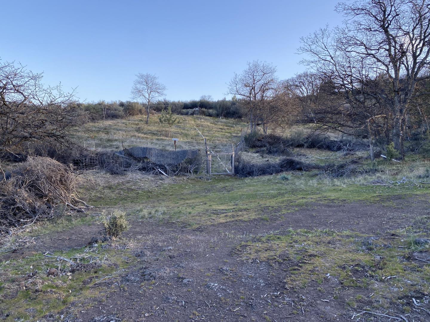 LOT 293 Unit 4 Lot 293, OTHER - SEE REMARKS, California 96064, ,Lots And Land,For Sale,Unit 4 Lot 293,40964492