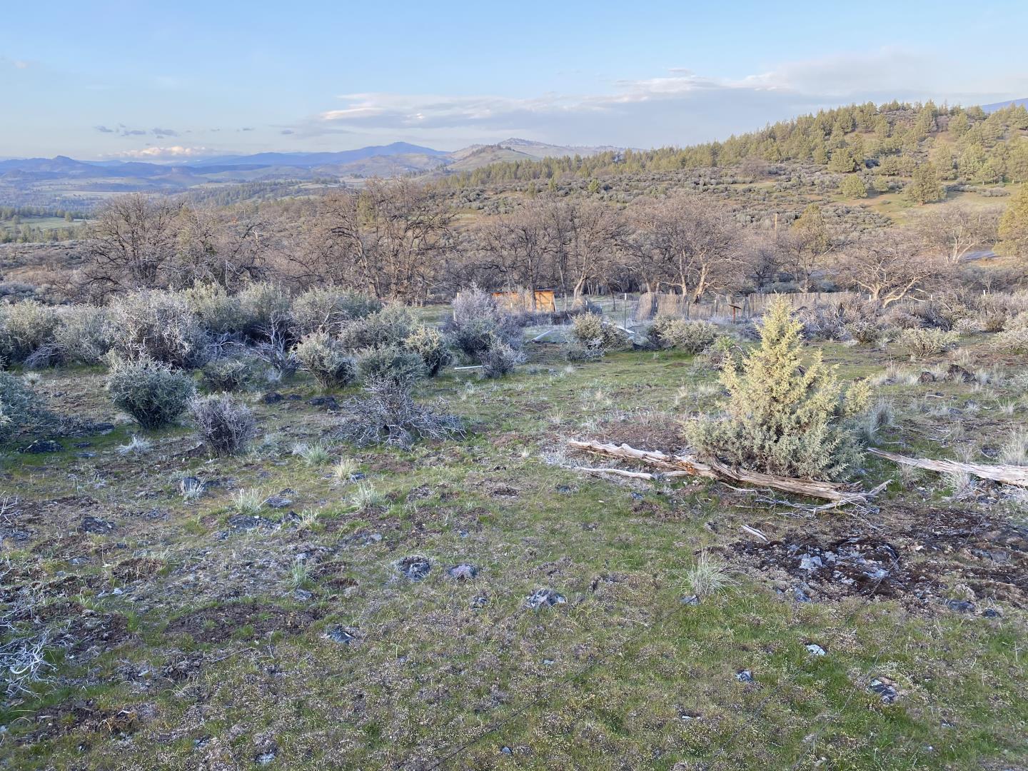 LOT 293 Unit 4 Lot 293, OTHER - SEE REMARKS, California 96064, ,Lots And Land,For Sale,Unit 4 Lot 293,40964492
