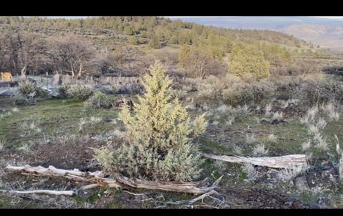 LOT 293 Unit 4 Lot 293, OTHER - SEE REMARKS, California 96064, ,Lots And Land,For Sale,Unit 4 Lot 293,40964492