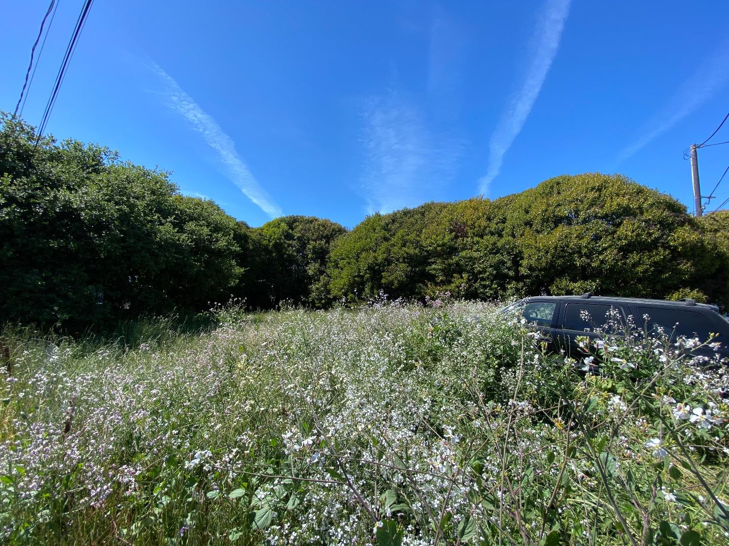 254 Center Avenue, OTHER - SEE REMARKS, California 95003, ,Comm Lots And Land,For Sale,Center Avenue,40964501