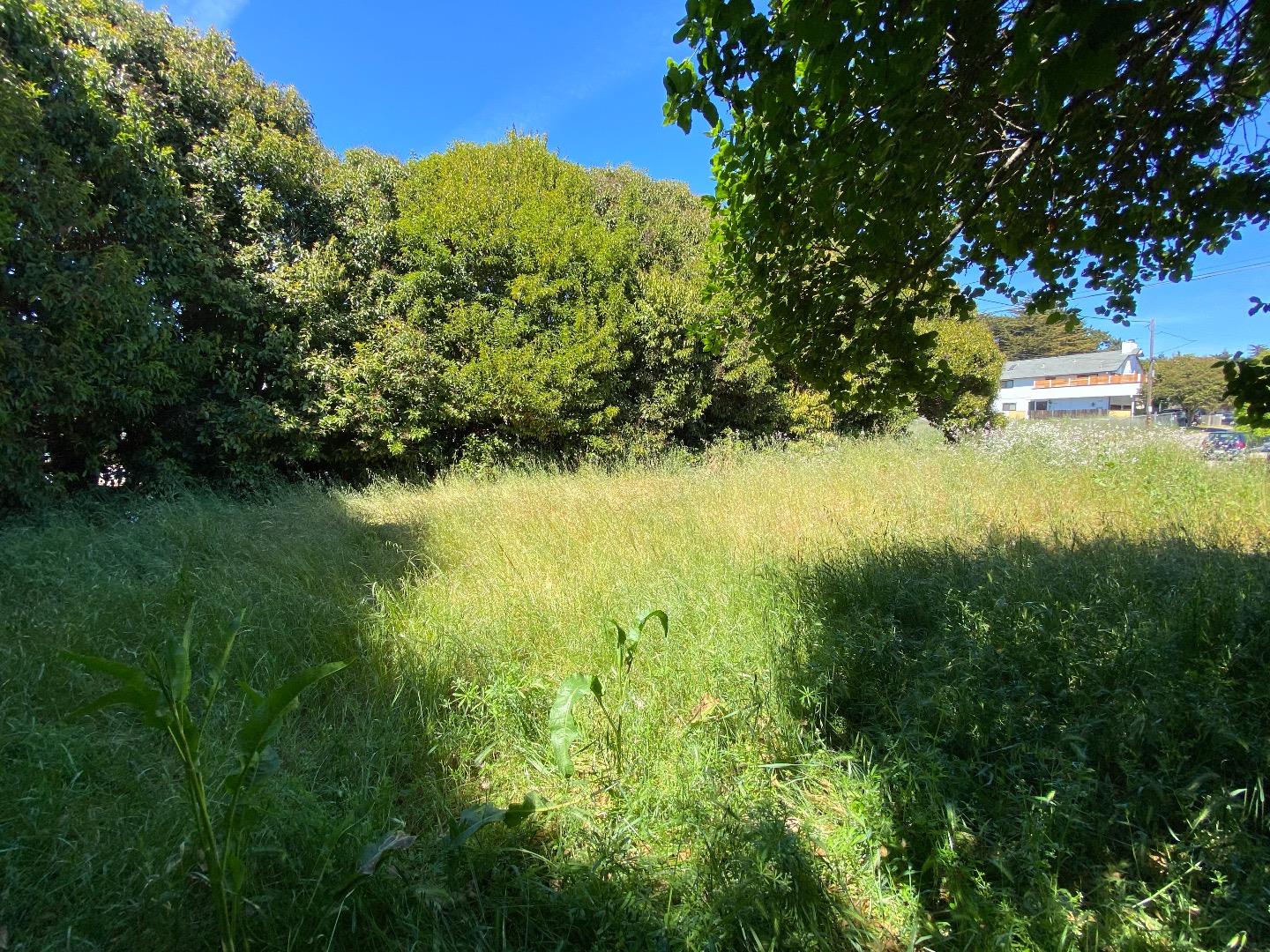 254 Center Avenue, OTHER - SEE REMARKS, California 95003, ,Comm Lots And Land,For Sale,Center Avenue,40964501